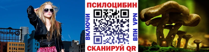 купить закладку  Урус-Мартан  Псилоцибиновые грибы Cubensis 