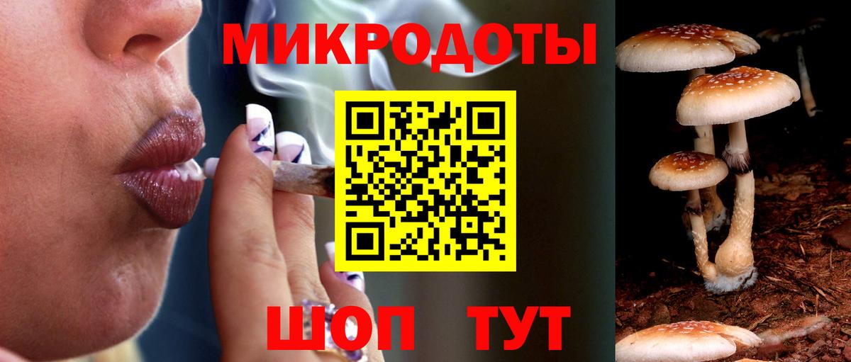 Урус-Мартан  Псилоцибиновые грибы мицелий  Галлюциногенные грибы GOLDEN TEACHER  Вход с VPN 